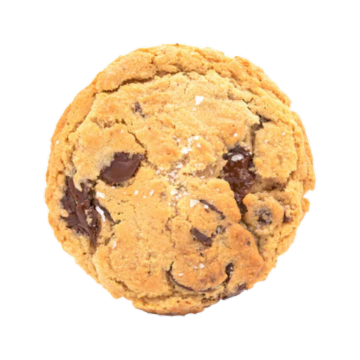 Vegan Chocolate Chip